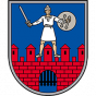 Cesis U-15 