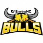 Franklin Bulls New Zealand NBL