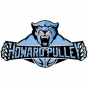 Howard Pulley 15U 