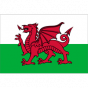 Wales U16 