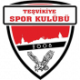 Tesvikiye Spor U-18 